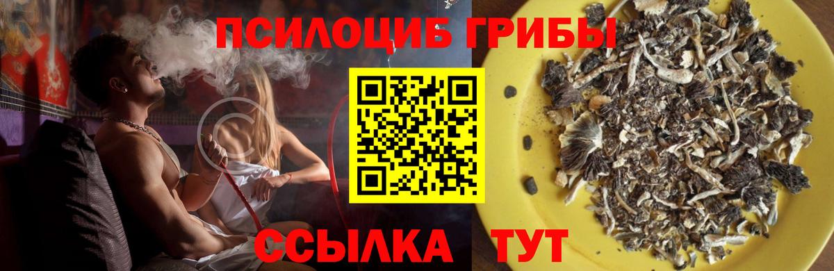 Арсеньев  Псилоцибиновые грибы ЛСД  Вход с VPN 